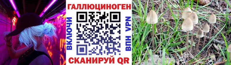 Купить  Донецк  Галлюциногенные грибы GOLDEN TEACHER 